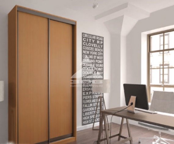 Шкаф-купе 05