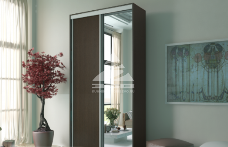 Шкаф-купе 06