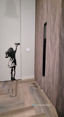 МГС119. Шкаф под массив в нишу Коридора