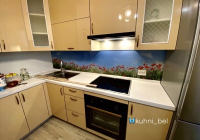 Золотая кухня из пластика